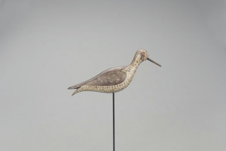 Charles W. Thomas – Yellowlegs – 2021