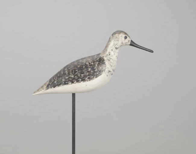 Harry V. Shourds – Yellowlegs – 2022