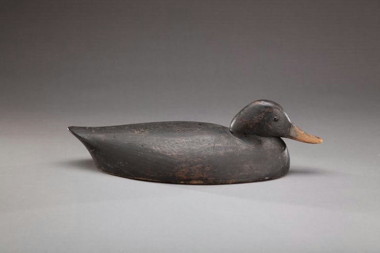 George Warin – Black Duck – 2012