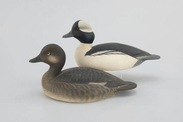 Marty Hanson – Bufflehead Pair – 2026