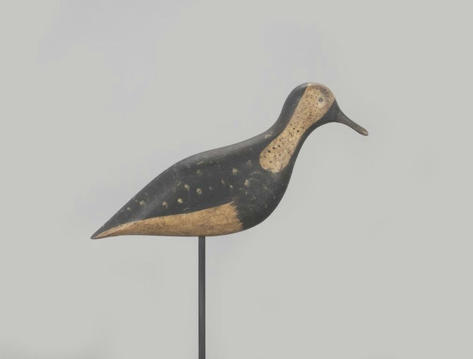 Levi Rhodes Truex – Ruddy Turnstone – 2022