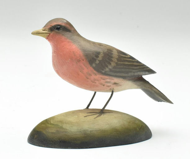 Frank Finney – House finch – 2023