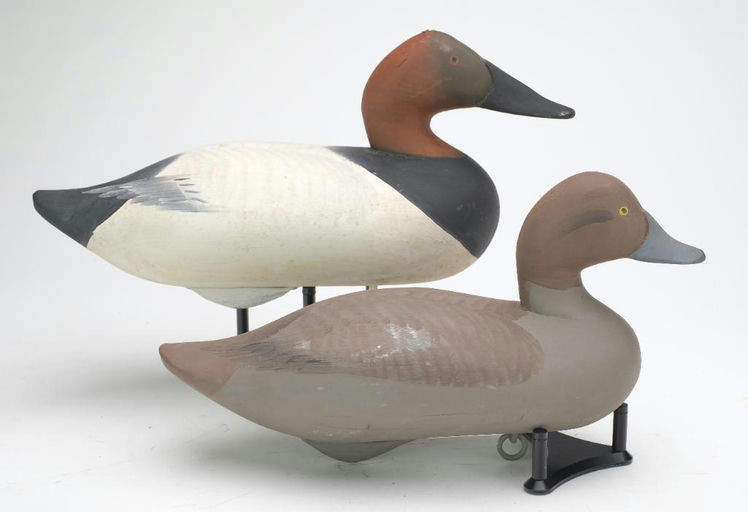 R. Madison Mitchell – Canvasback Hen – 2023
