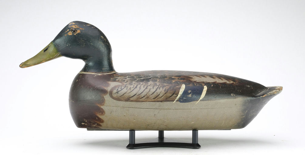 Bert Graves – Mallard – 2024