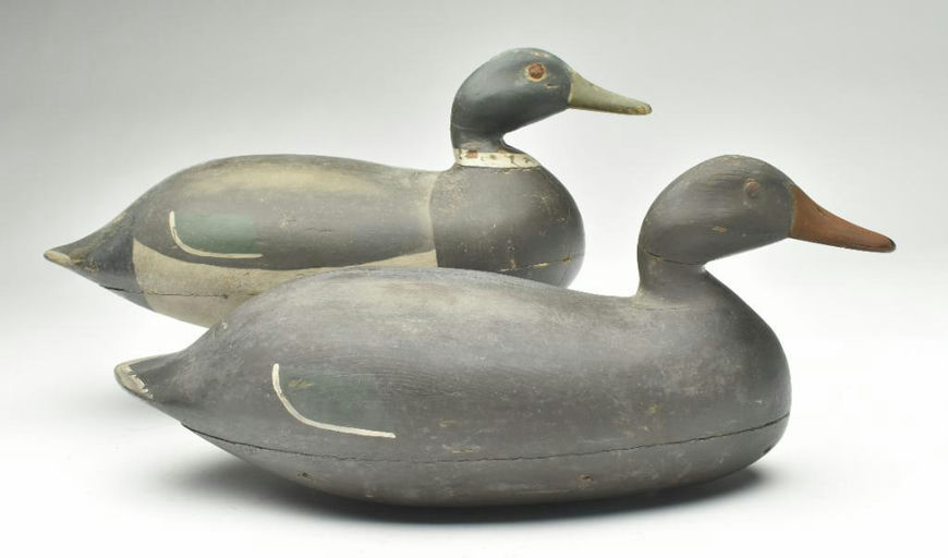 Harry V. Shourds – Mallard – 2023