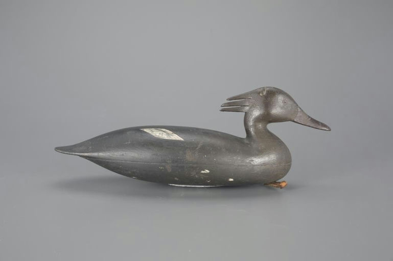 Nathan Rowley Horner – The Mcalpin Horner Merganser Hen – 2024