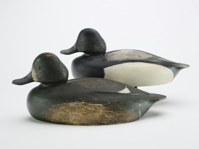 Ken Anger – Scaup – 2024