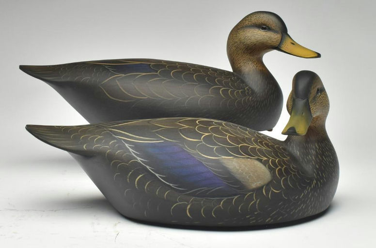 Sean Sutton – Pair of Black Duck – 2023