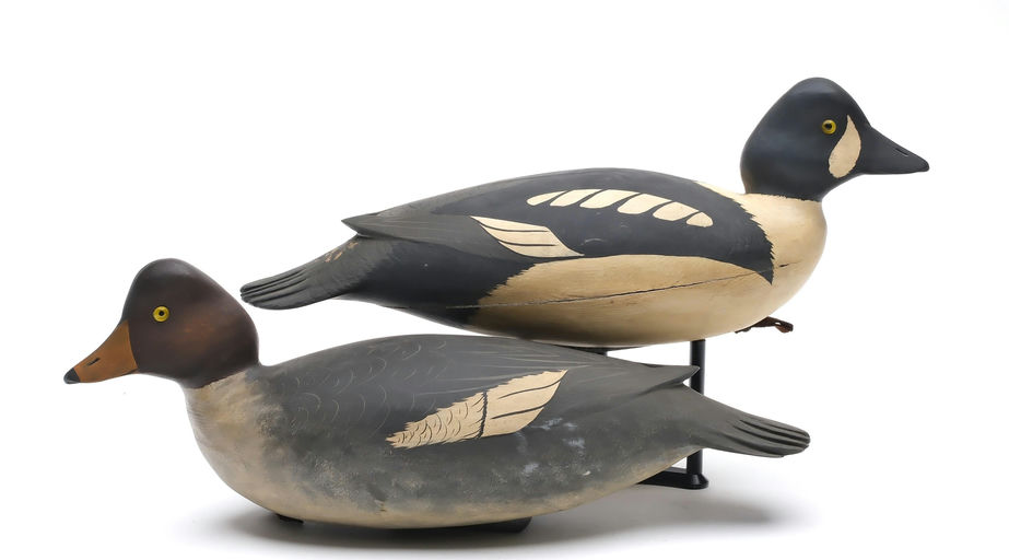 Bob White – Pair of Goldeneye – 2025