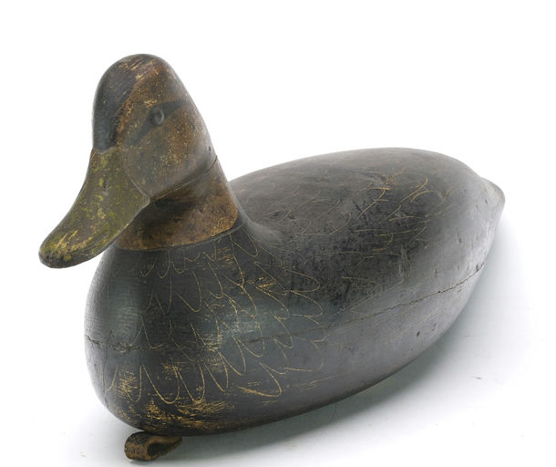 Harry V. Shourds – Black Duck – 2024