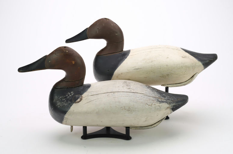 Bob McGaw – Canvasback – 2024