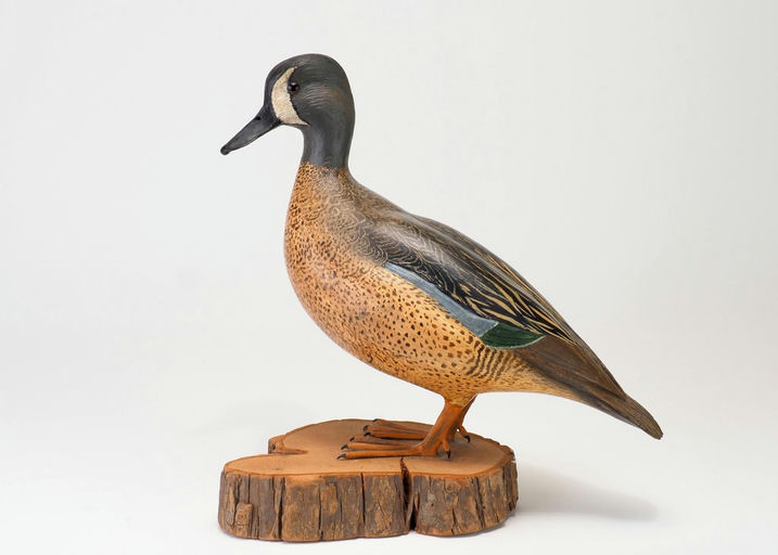 Bob White – Rare Life-size Standing Bluewing Teal Drake – 2026