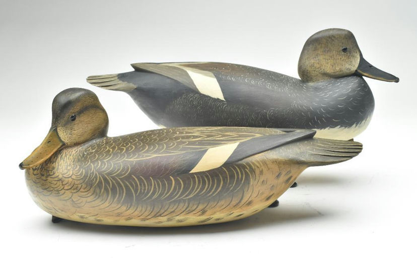Bob White – Pair of Gadwall – 2023