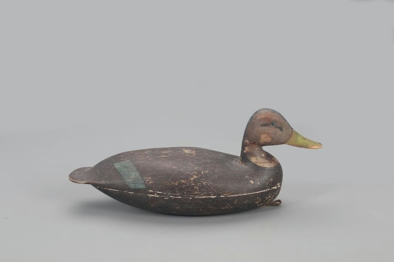 Levi Rhodes Truex – Black Duck – 2022