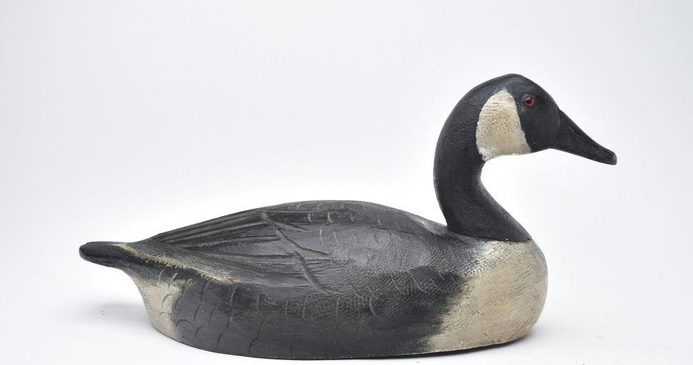 Ben Schmidt – Canada Goose – 2025