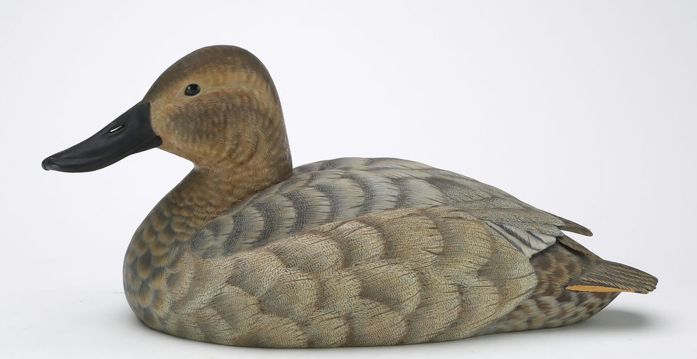 Ben A. Heinemann – Canvasback – 2024