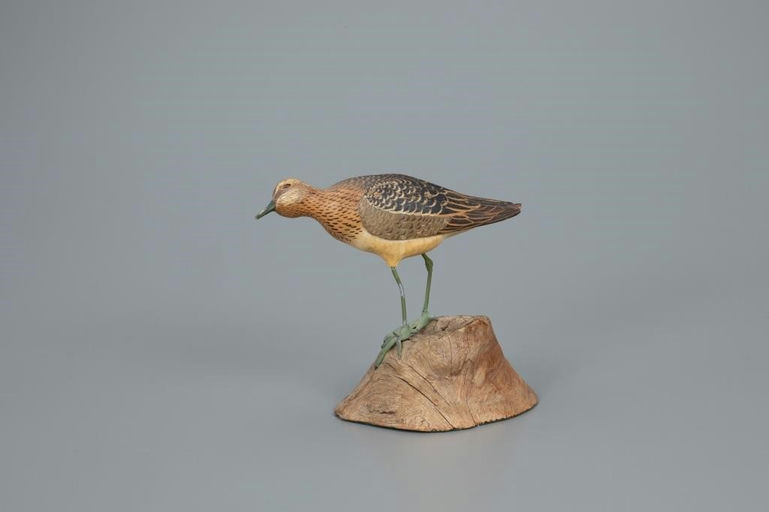 Lloyd Johnson – Decorative Reaching Shorebird – 2020