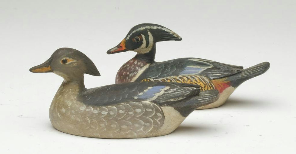 Reggie Birch – Wood duck – 2023