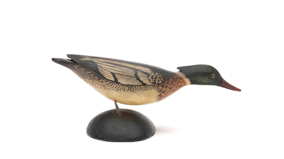 Elmer Crowell – Miniature Red-breasted Merganser – 2026