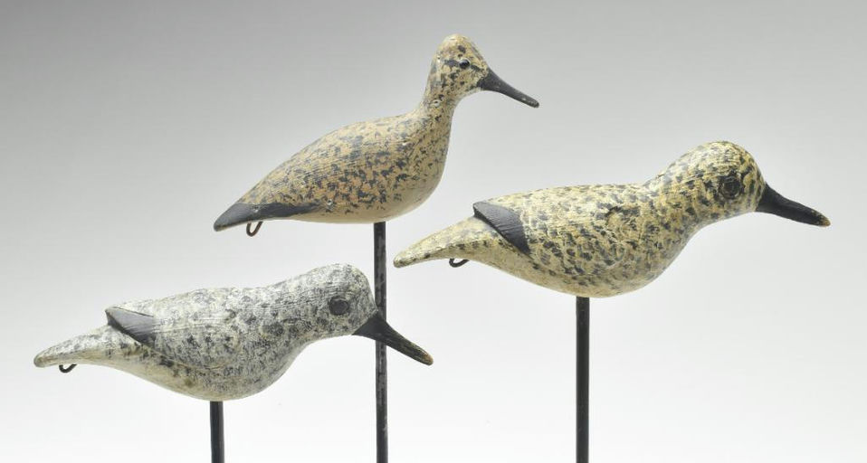 Reggie Birch – Shorebird – 2023