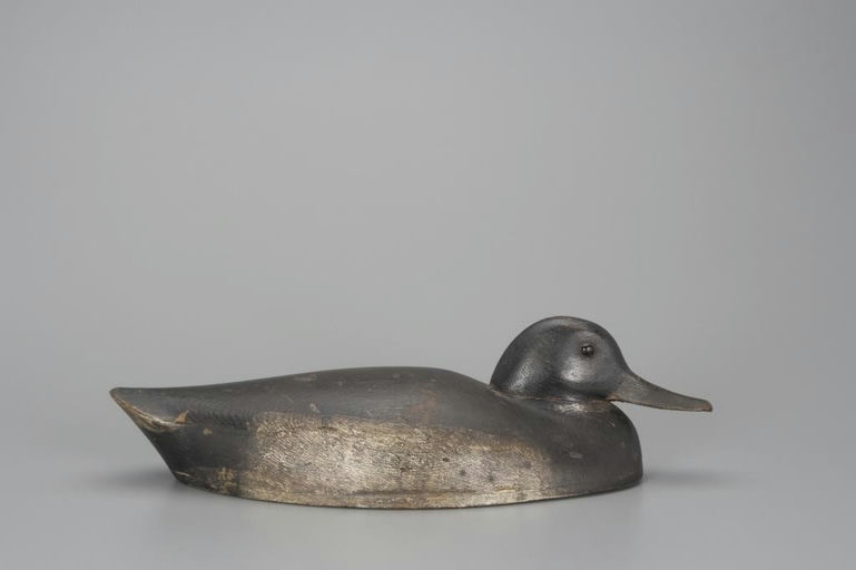 George Warin – Rare Mallard Drake – 2018