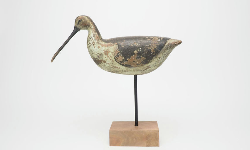 Reggie Birch – Curlew – 2025