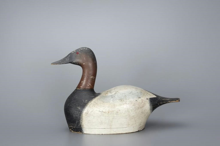 Joseph Sieger – High-head Canvasback Drake – 2017