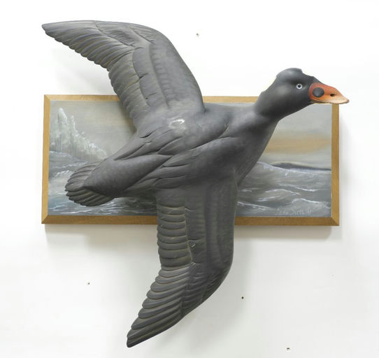 Sean Sutton – Flying Scoter – 2023