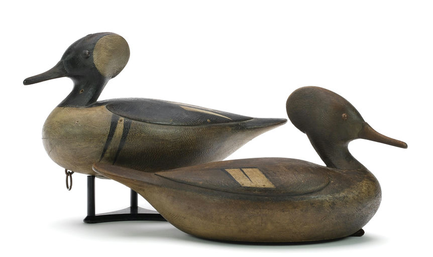 Mark McNair – Pair of Hooded merganser – 2024