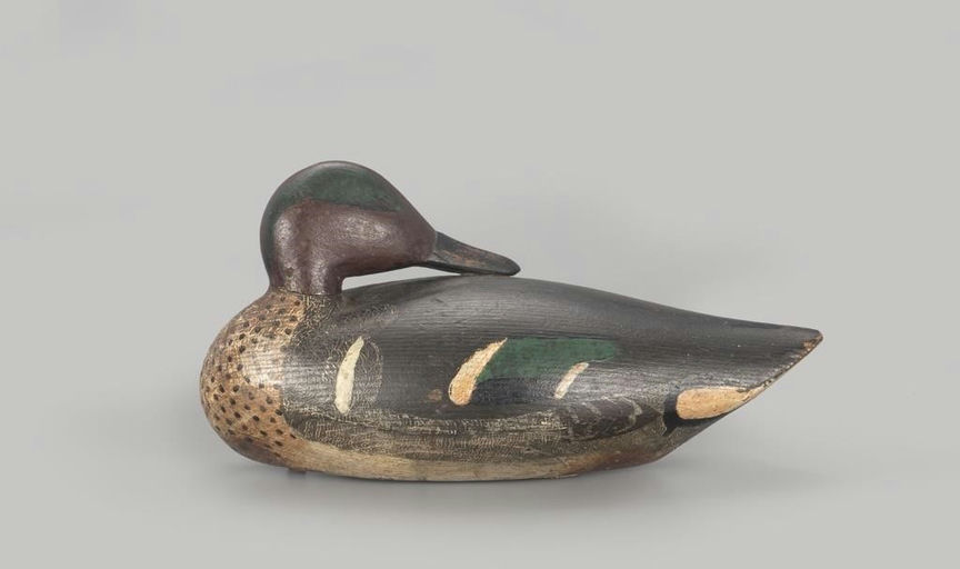 Chase Littlejohn – Early Preening Green-winged Teal – 2023