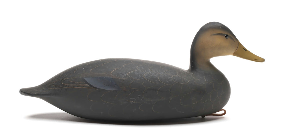 George Strunk – Black Duck – 2025