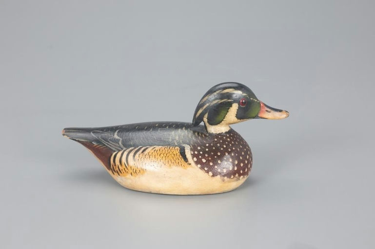 Elmer Crowell – Turned-Head Wood Duck – 2021