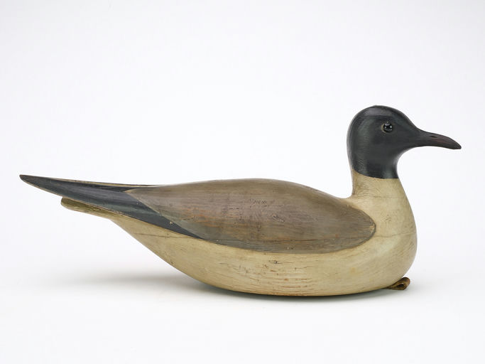 Mark McNair – Hollow Carved Gull – 2024