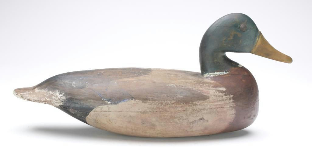 Charles Birch – Mallard – 2023