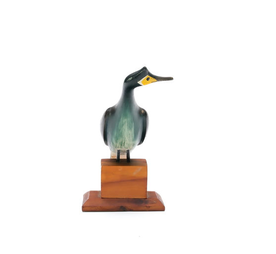 George Boyd – Cormorant – 2025