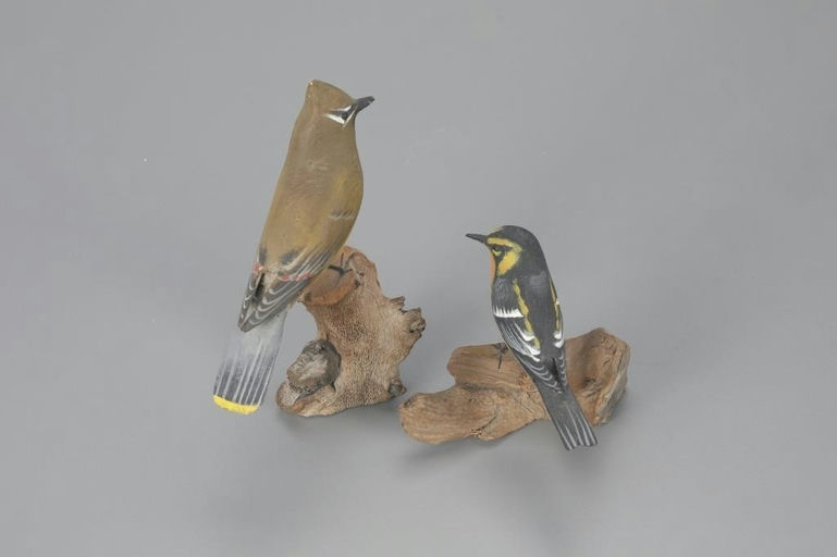Peter Peltz – Warbler and Cedar Waxwing – 2023
