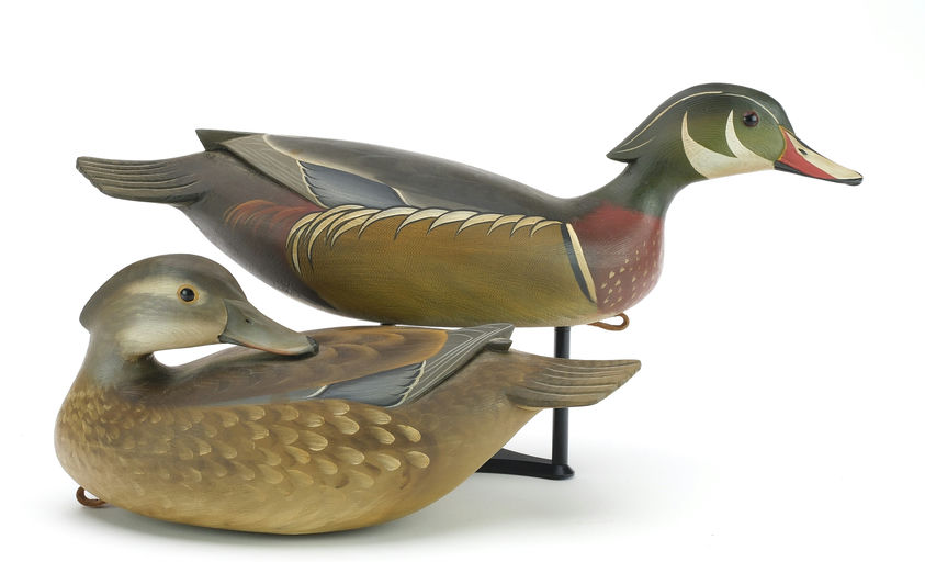 George Strunk – Pair of Wood Ducks – 2024