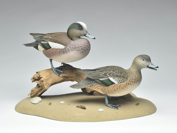 Oliver Lawson – Pair of Wigeon – 2024