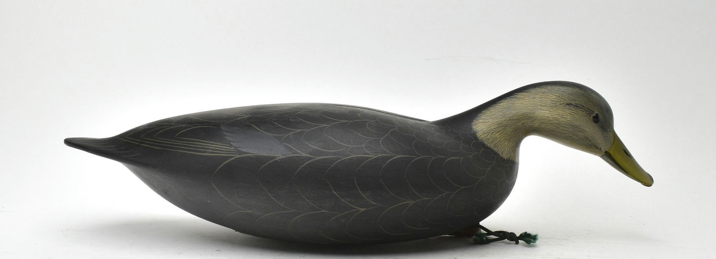 George Strunk – Black Duck – 2025