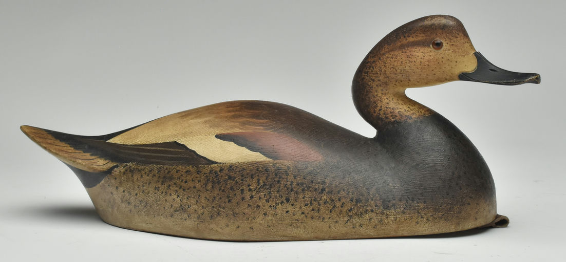 Cameron McIntyre – Gadwall – 2023