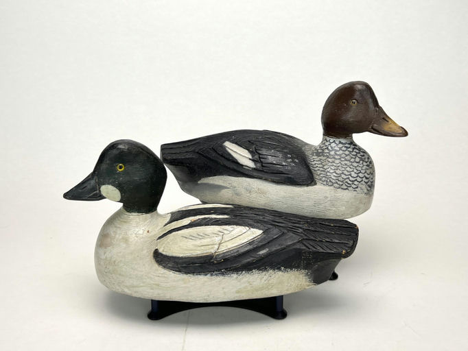 Bill Cooper — Goldeneye Pair
