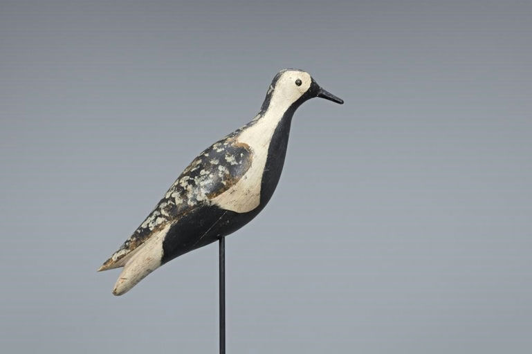 Herbert F. Hatch – Golden Plover – 2019