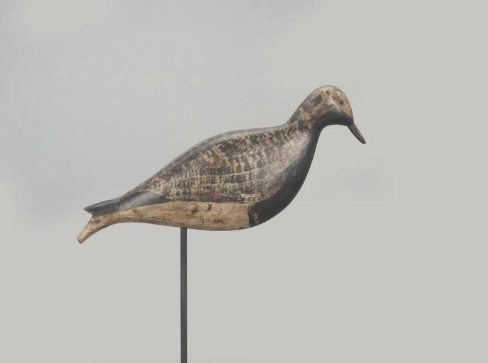 Gilbert E. Wallace – Rare Plover – 2022