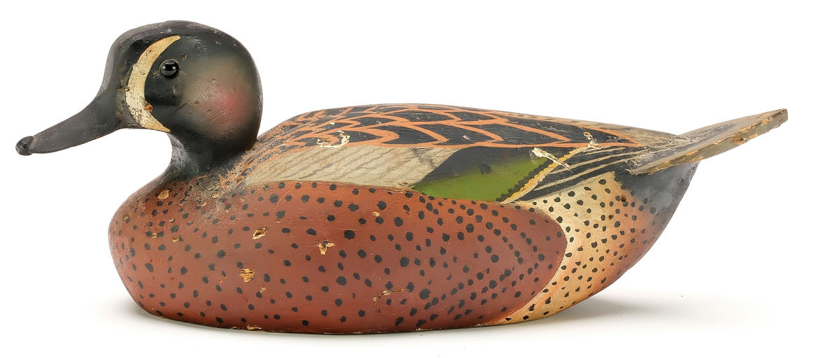 Ward Brothers – Bluewing teal – 2026