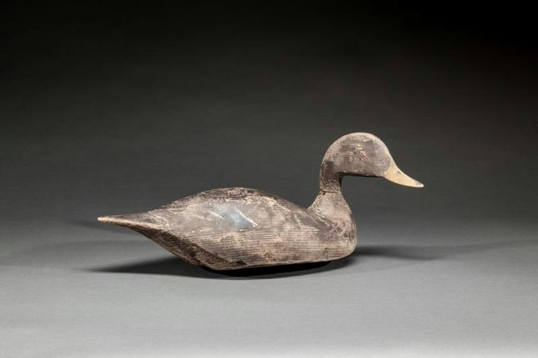 Lloyd Tyler – Black Duck – 2015