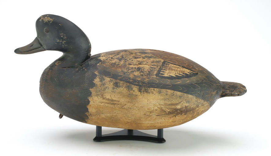 Reggie Birch – Scaup – 2024