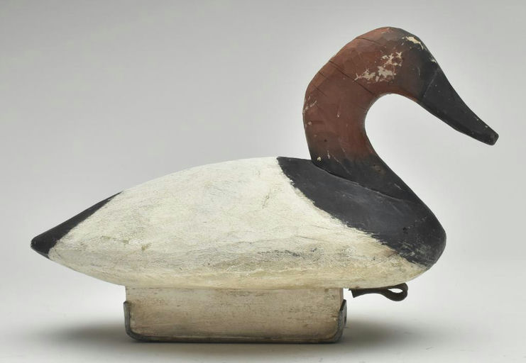 Pete Peterson – Canvasback – 2023