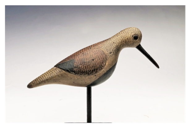 Mark McNair – Dunlin – 2021