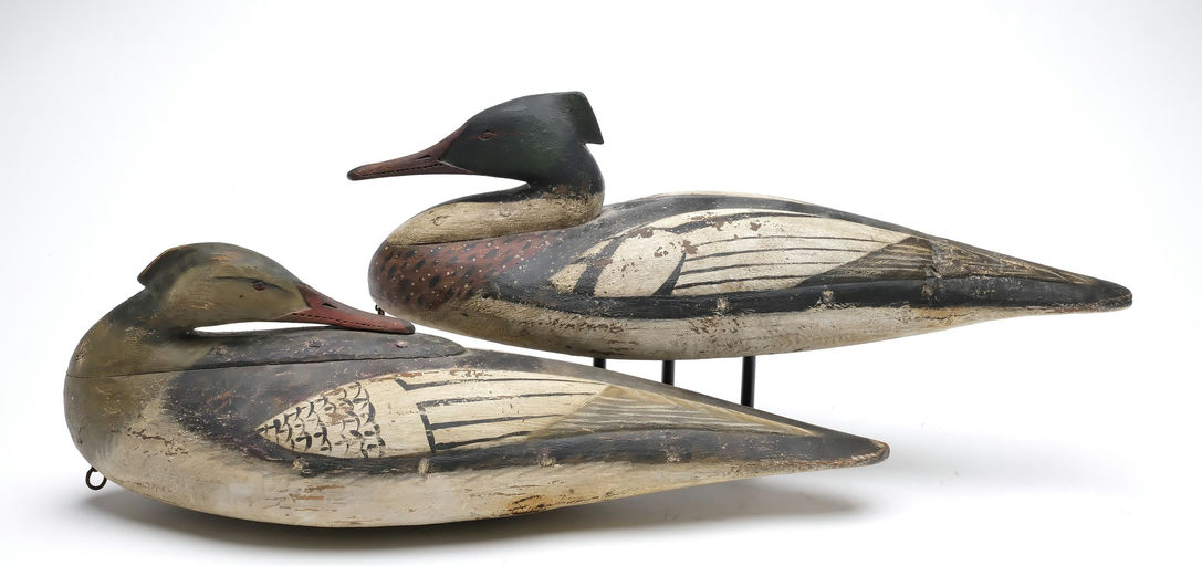 Reggie Birch – Merganser – 2025