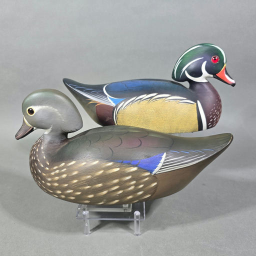 Michael Braun – Wood Duck – 2026